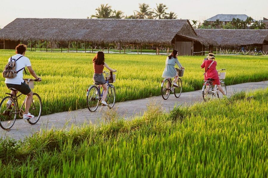 
Việt Nam có dư địa lớn phát triển du lịch nông nghiệp, nông thôn
