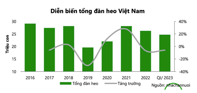 
Tính đến cuối tháng 3 năm nay, tổng đàn heo trên cả nước là 24,66 triệu con, so với cùng kỳ năm trước đã tăng 6,2%, đồng thời giảm 6% so với thời điểm đầu năm
