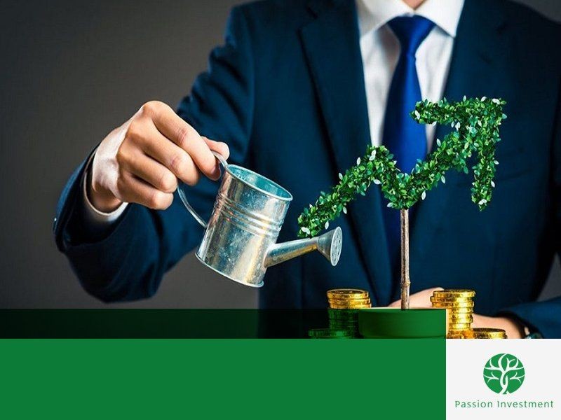 Passion Invetment là quỹ chú trọng vào việc đầu tư và tư vấn các loại cổ phiếu trên thị trường thông qua nền tảng của phương pháp đầu tư giá trị