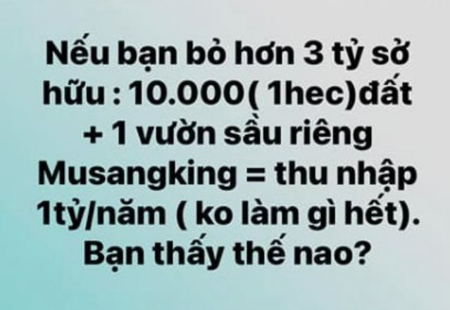 
Những lời mời chào đầu tư xuất hiện trên nhiều trang mạng xã hội
