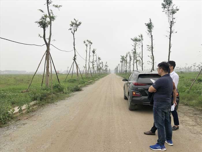 
Thanh khoản ở trên thị trường đã liên tục sụt giảm khiến cho nhiều môi giới bất động sản đã phải chuyển nghề hoặc là bỏ nghề
