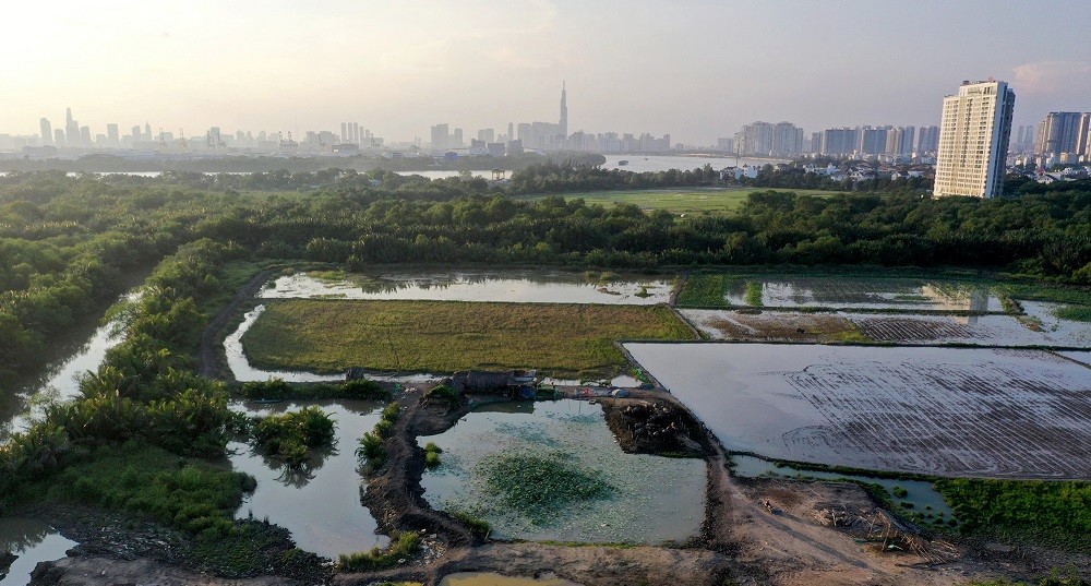 
Tại TP Hồ Chí Minh, 1 ha đất sản xuất, công nghiệp, thương mại dịch vụ, đô thị sẽ tạo ra giá trị khoảng 55 tỷ đồng/năm, gấp 100 lần 1 ha đất nông nghiệp.
