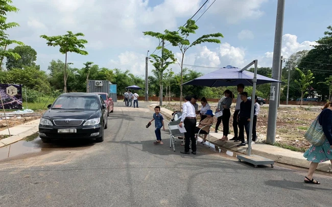 &nbsp;

Hiện nay không ít nhà đầu tư rơi vào cảnh chôn hàng tỷ đồng trong đất
