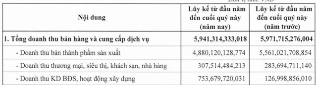 
Nguồn ảnh: Báo cáo tài chính
