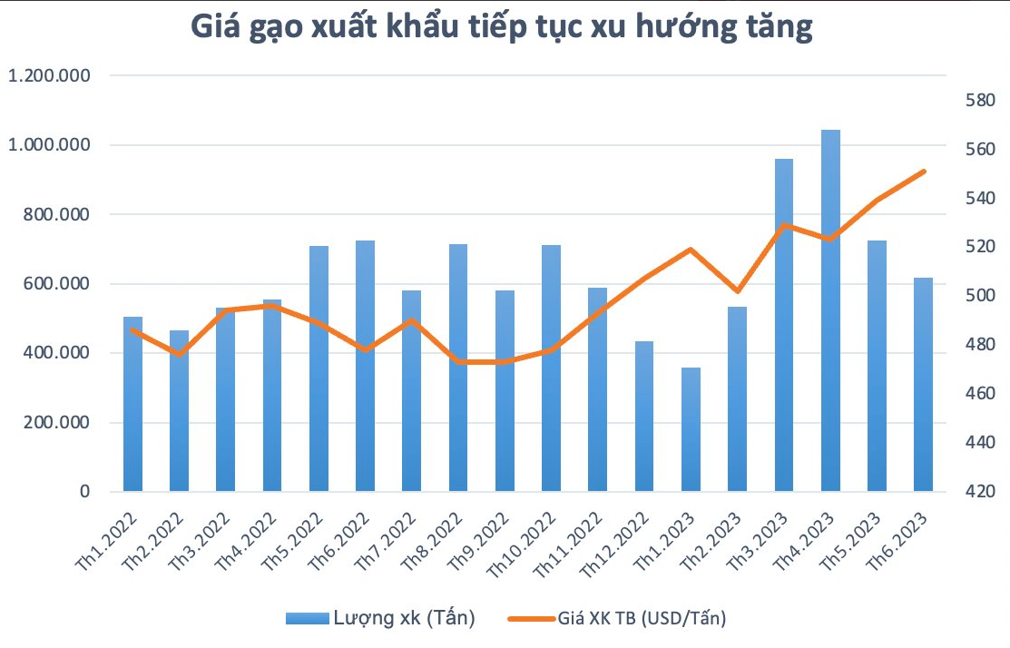 
Giá xuất khẩu gạo bình quân của Việt Nam trong tháng 6/2023 đã tăng khoảng 9% so với thời điểm đầu năm, đạt mức trung bình là 552 USD/tấn - đây cũng là mức giá xuất khẩu bình quân cao nhất ở trong lịch sử. Ảnh: Nhịp Sống Thị Trường
