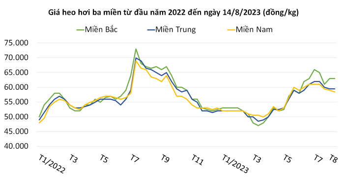 
Ngay từ cuối quý 2/2023, giá heo hơi bắt đầu tăng nhẹ, nhưng đến đầu quý 3 thì mức tăng mới nhanh và mạnh hơn
