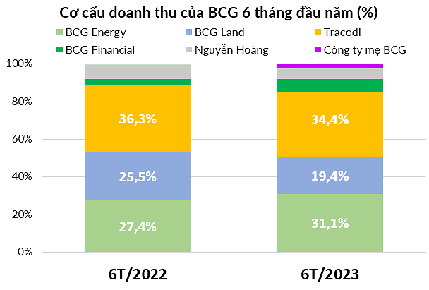 
Cơ cấu doanh thu của BCG trong 6 tháng đầu năm
