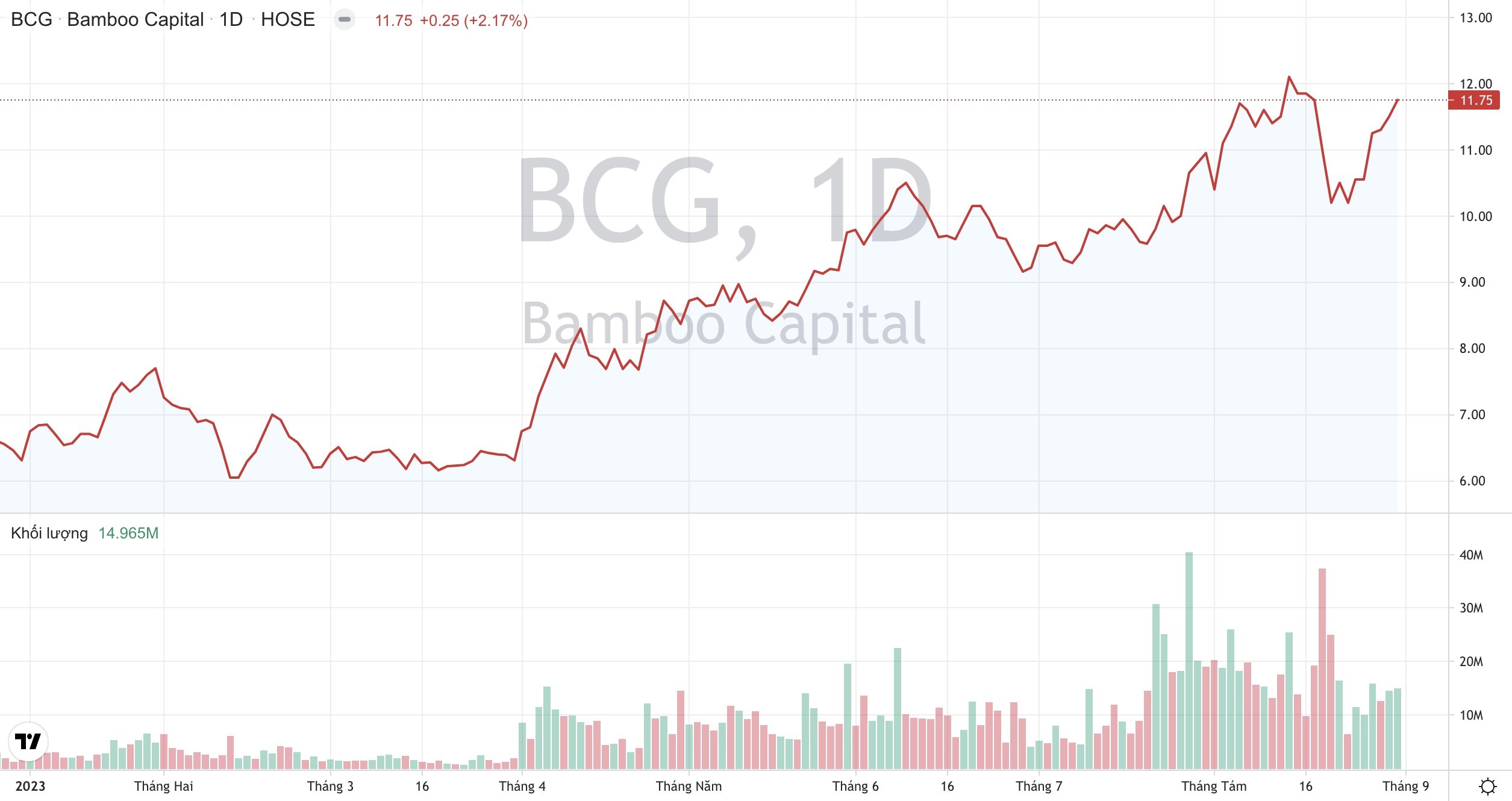 
Khối lượng giao dịch cũng như xu hướng giá cổ phiếu BCG của Tập đoàn Bamboo Capital từ đầu năm 2023 đến hiện tại. (Nguồn ảnh: TradingView)
