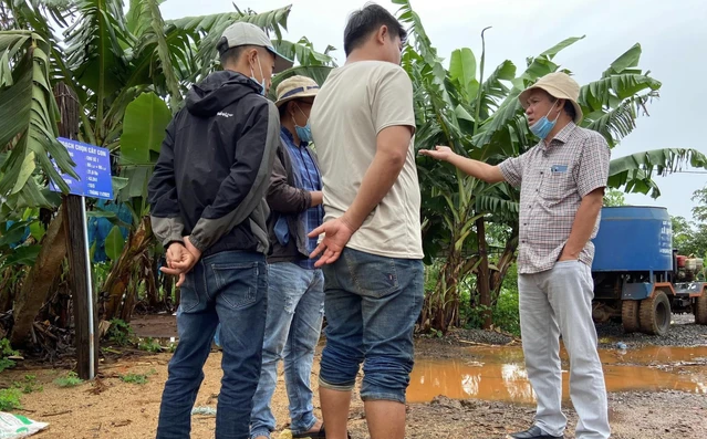 
Trước kia, nếu như doanh nghiệp này bán chuối sỉ theo đường nhập khẩu và định kỳ lên sàn đấu giá… công ty hiện tại đã có thể đưa thẳng chuối có thương hiệu của mình vào các kênh siêu thị. Ảnh minh họa
