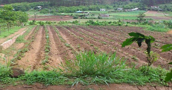 
Bộ Tài chính vừa ban hành Công văn tăng cường quản lý thu tiền sử dụng đất (ảnh minh họa)
