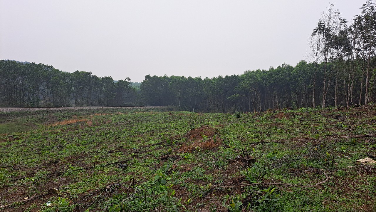 Muốn chuyển đổi từ đất rừng sản xuất sang đất thổ cư phải đáp ứng các điều kiện quy định và phải xin phép cơ quan có thẩm quyền
