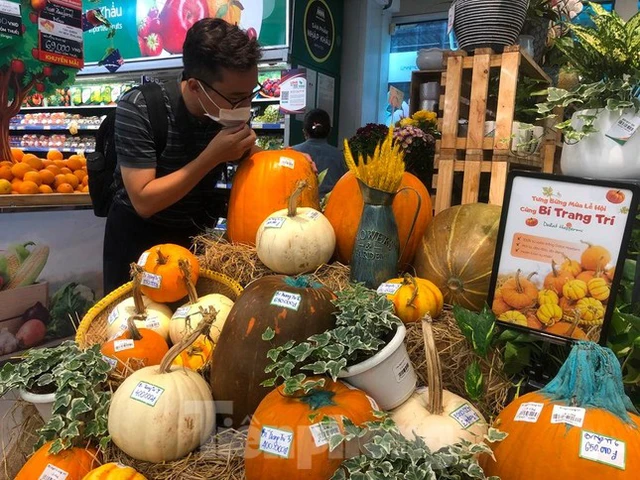 
Giá bí ngô trang trí Halloween đắt khét lẹt
