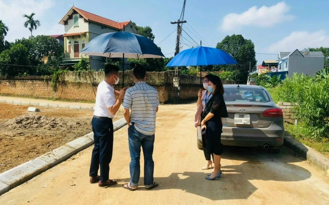 
Nhiều khu vực tại Quảng Trị chứng kiến tình trạng bỏ cọc liên tiếp
