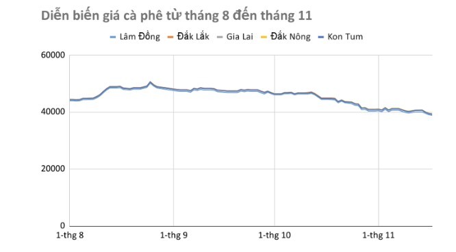 
Nguồn cung tăng, xuất khẩu giảm đang khiến giá cà phê trong nước chịu áp lực không nhỏ
