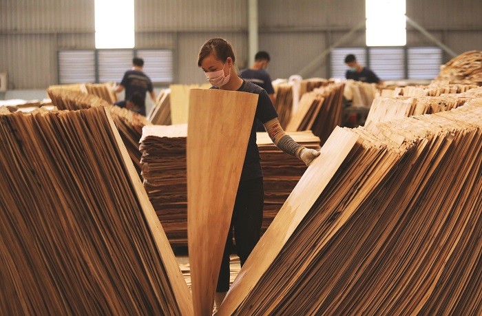 
Trị giá xuất khẩu gỗ và sản phẩm gỗ đạt mức 14,7 tỷ USD trong tổng cả 11 tháng năm nay
