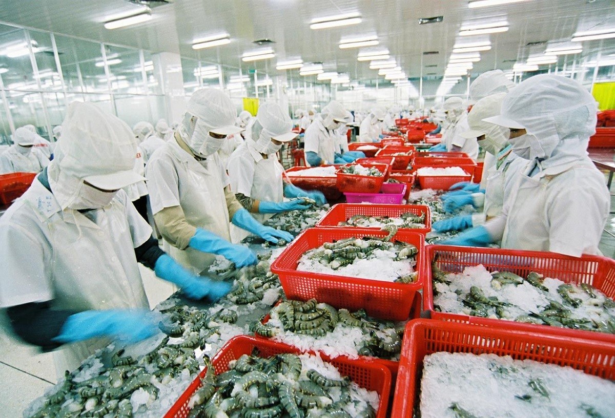 
Hiệp hội chế biến và xuất khẩu thủy sản Việt Nam (VASEP) cho biết, quý 2/2022, xuất khẩu thủy sản cả nước đạt hơn 3,2 tỷ USD, so với cùng kỳ năm trước tăng 36%
