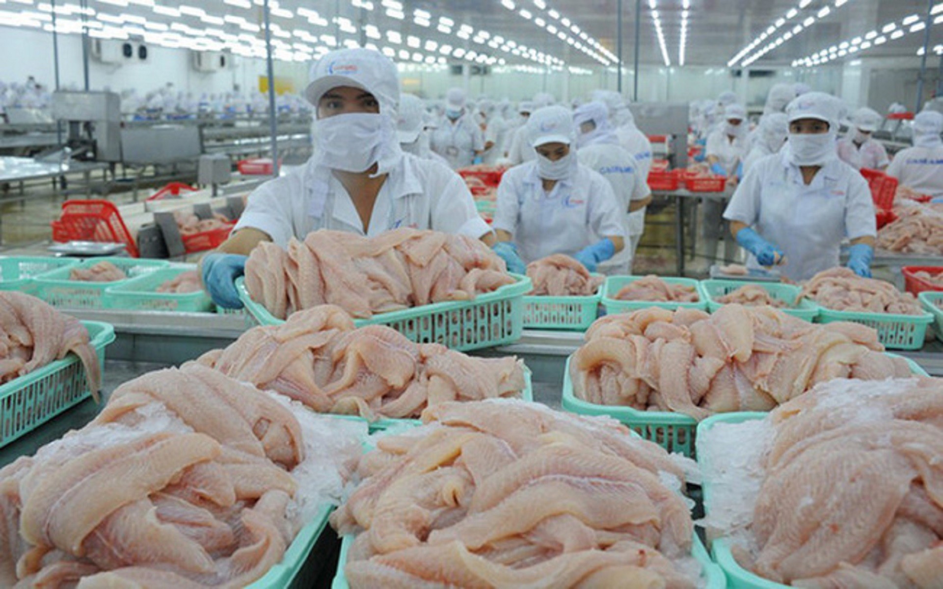 
Biến động thị trường năm 2022 ví dụ như lạm phát cùng chiến sự Nga - Ukraine cũng chính là cơ hội cho ngành cá tra xuất khẩu Việt Nam khi được lựa chọn cho việc thay thế cho cá minh thái cũng như cá tuyết ở một số thị trường lớn
