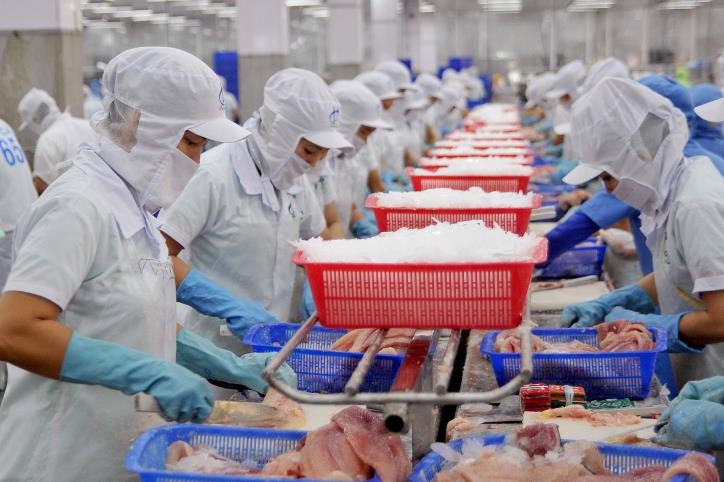 Các doanh nghiệp chế biến và xuất khẩu cá tra cho biết, dù thị trường thế giới có nhiều biến động và người tiêu dùng có xu hướng tiết kiệm chi tiêu để có thể phù hợp với nguồn thu nhập ở trong giai đoạn khó khăn