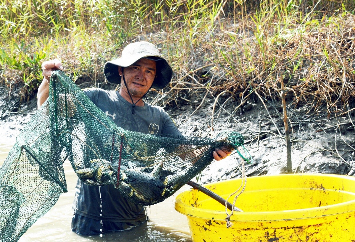 
Trên thực tế có thể chứng minh được rằng, mô hình nuôi đa con kết hợp trong vuông tôm đã giúp cho đời sống của người dân ngày càng được cải thiện, nâng cao
