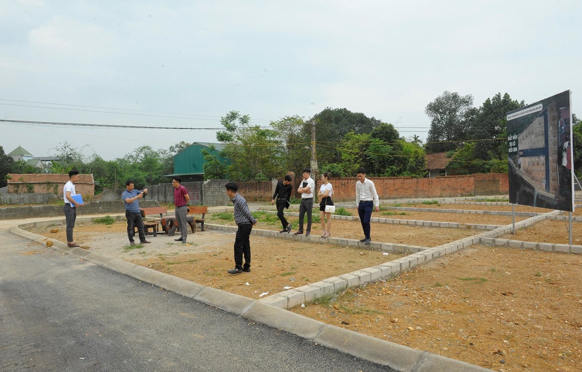 
Các chuyên gia cũng cho rằng việc dừng phân lô tách thửa đối với một số loại đất có thể xem xét đưa vào Luật đất đai (sửa đổi) để có cơ sở pháp lý vững chắc cho cơ quan chức năng và chính quyền địa phương quản lý, quy hoạch đất đai
