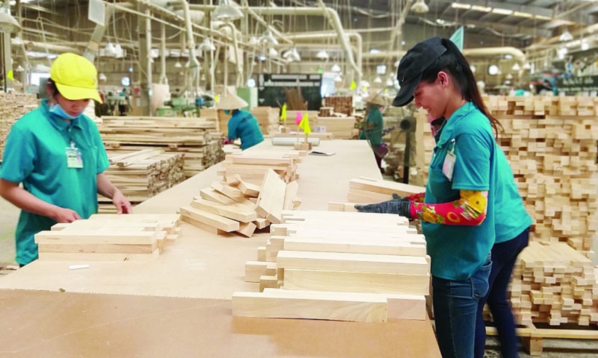 
Xuất khẩu gỗ và sản phẩm gỗ của Việt Nam trong tháng 6 đạt mức 1,5 tỷ USD

