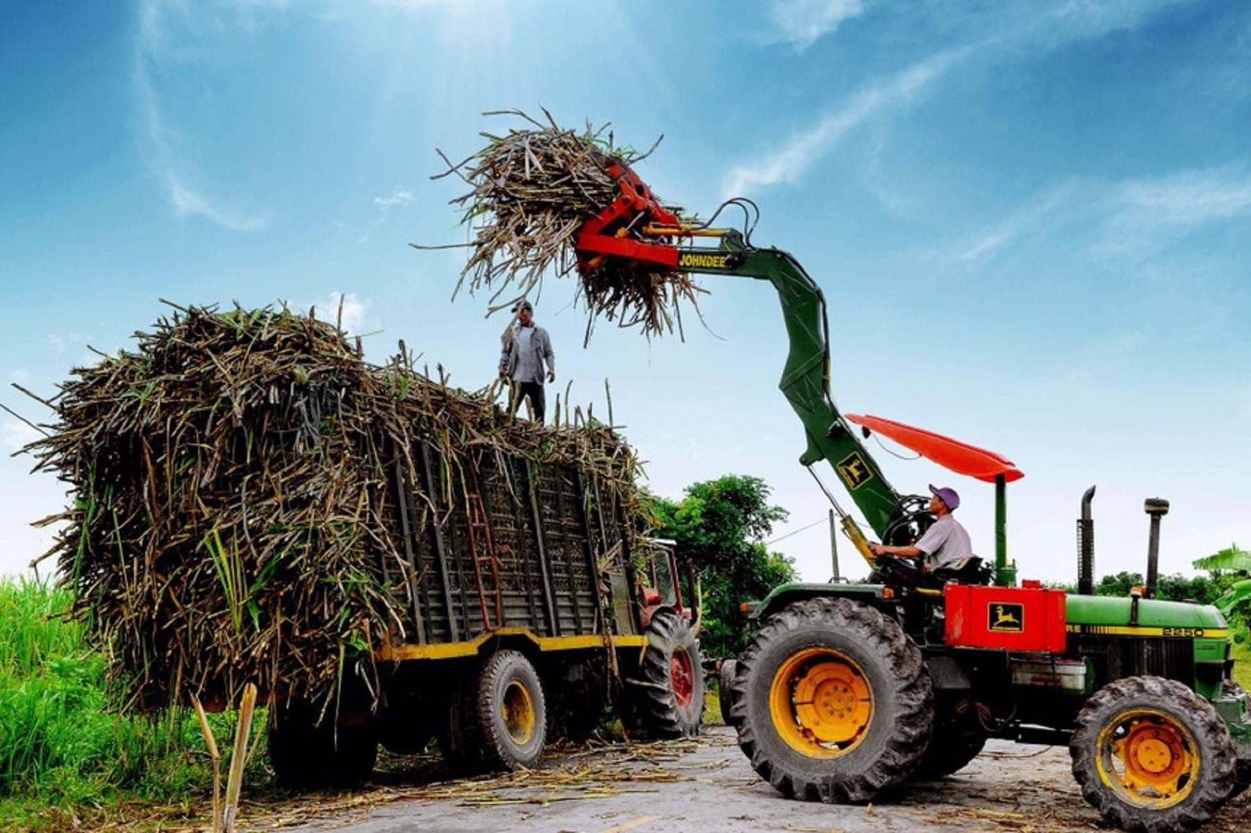 
Khác với các nhóm ngành khác, các doanh nghiệp ngành mía đường có năm tài chính bắt đầu từ ngày 1/7 và kết thúc vào ngày 30/6 năm sau
