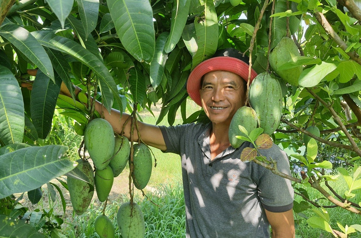 

Mỗi năm, vườn cây ăn trái của gia đình ông xuất bán ra thị trường khoảng 200 tấn trái cây các loại
