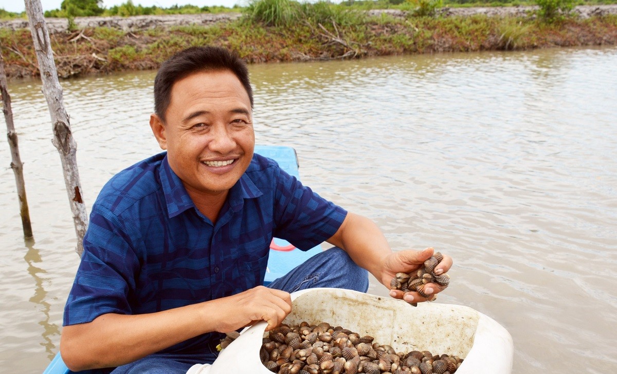 

Ông Hoài tâm sự: "Sò huyết dễ nuôi, sò giống sau khi mua về sẽ trải qua giai đoạn gièo dưới vuông và nuôi lan trong khoảng 1 năm. Sau 1 năm nuôi thì chúng ta có thể thu hoạch liên tục trong khoảng 5 tháng"
