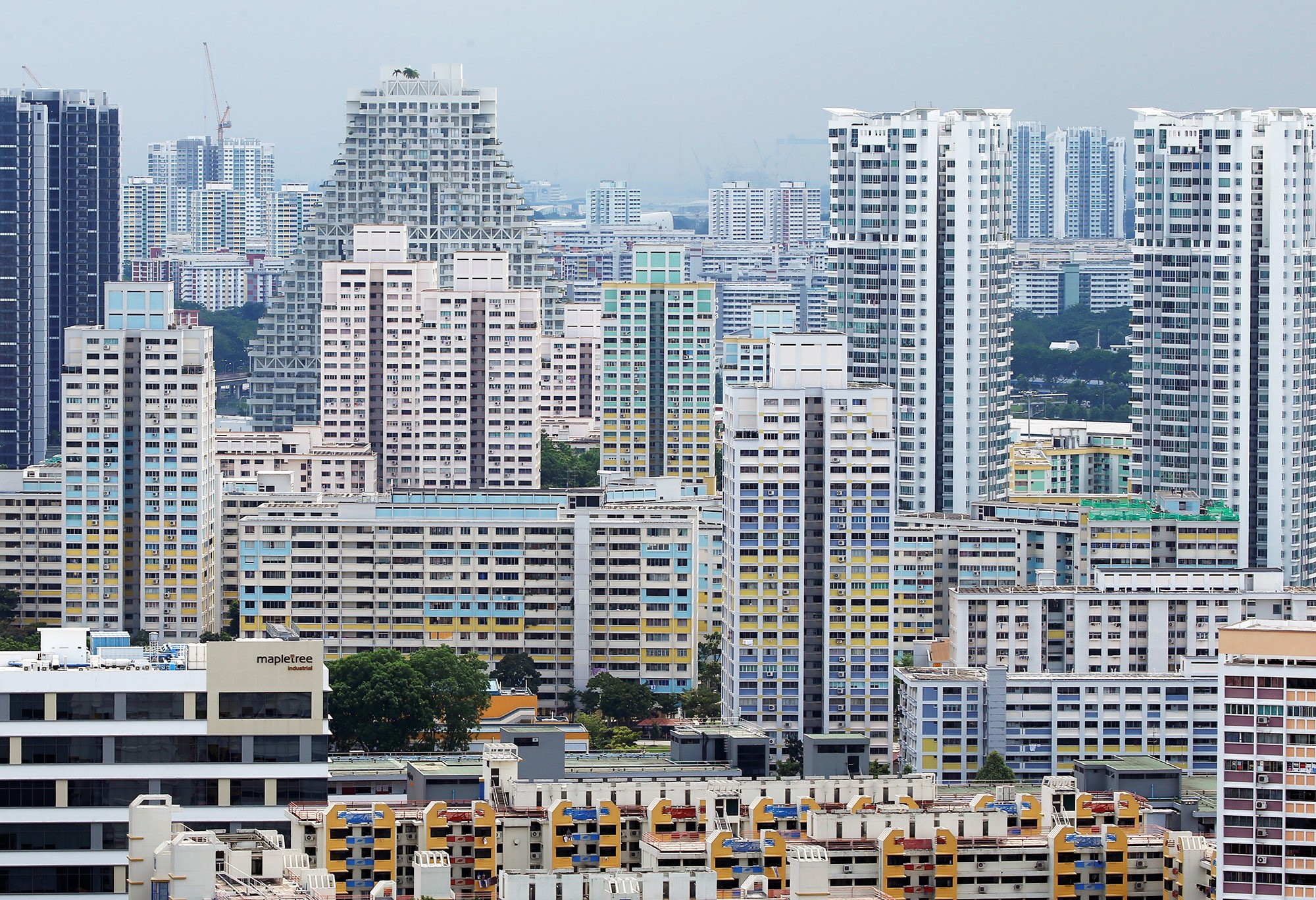 Ghi nhận, giá nhà ở Singapore tăng cao đã khiến cho nhiều người hy vọng kiếm tiền bằng nghề môi giới bất động sản. Bởi thế mà dân văn phòng đã rủ nhau đi làm môi giới bất động sản