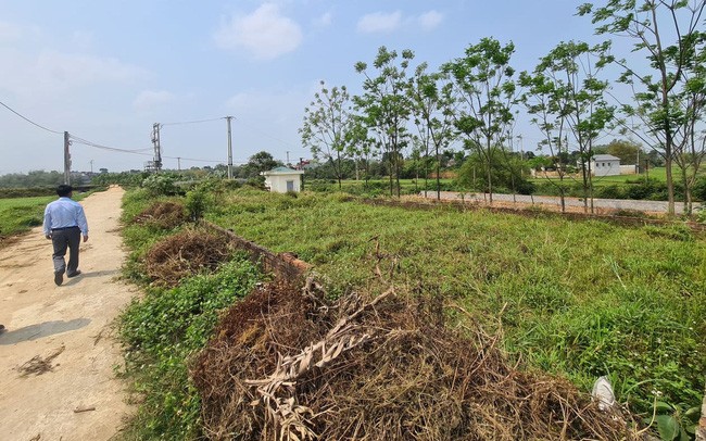 
Nhờ mua những mảnh đất bị mọi người chê là “khỉ ho cò gáy”, Nguyễn Hà đã gia tăng giá trị tài sản lên gấp 2 lần. Ảnh minh họa
