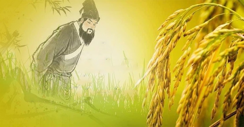 
Người xưa có câu nói rằng “Cúi đầu là bông lúa, ngẩng đầu là cỏ dại” với ý nghĩa vô cùng triết lý và sâu xa. Ảnh minh họa
