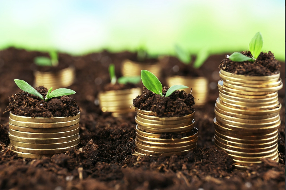 
Hầu hết những quỹ đầu tư đều ưa chuộng những mã cổ phiếu bluechip, những mã vốn hóa lớn hoặc có nền tảng cơ bản cùng kết quả kinh doanh tốt.&nbsp;Ảnh minh họa
