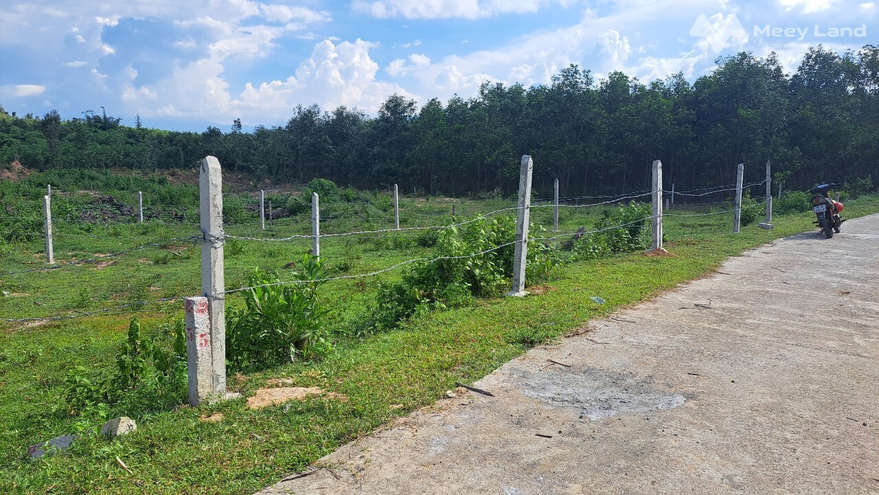 Chính chủ cần bán sỉ lô đất full thổ cư tách được 3 lô tại Khánh Bình, Khánh Vĩnh-03