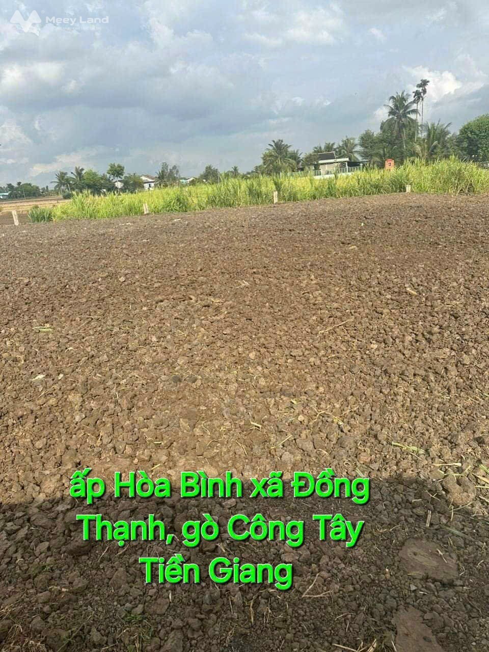 Đất mặt tiền đá xanh 5m đường kênh N7 xã Đồng Thạnh, Gò Công Tây, Tiền Giang-01