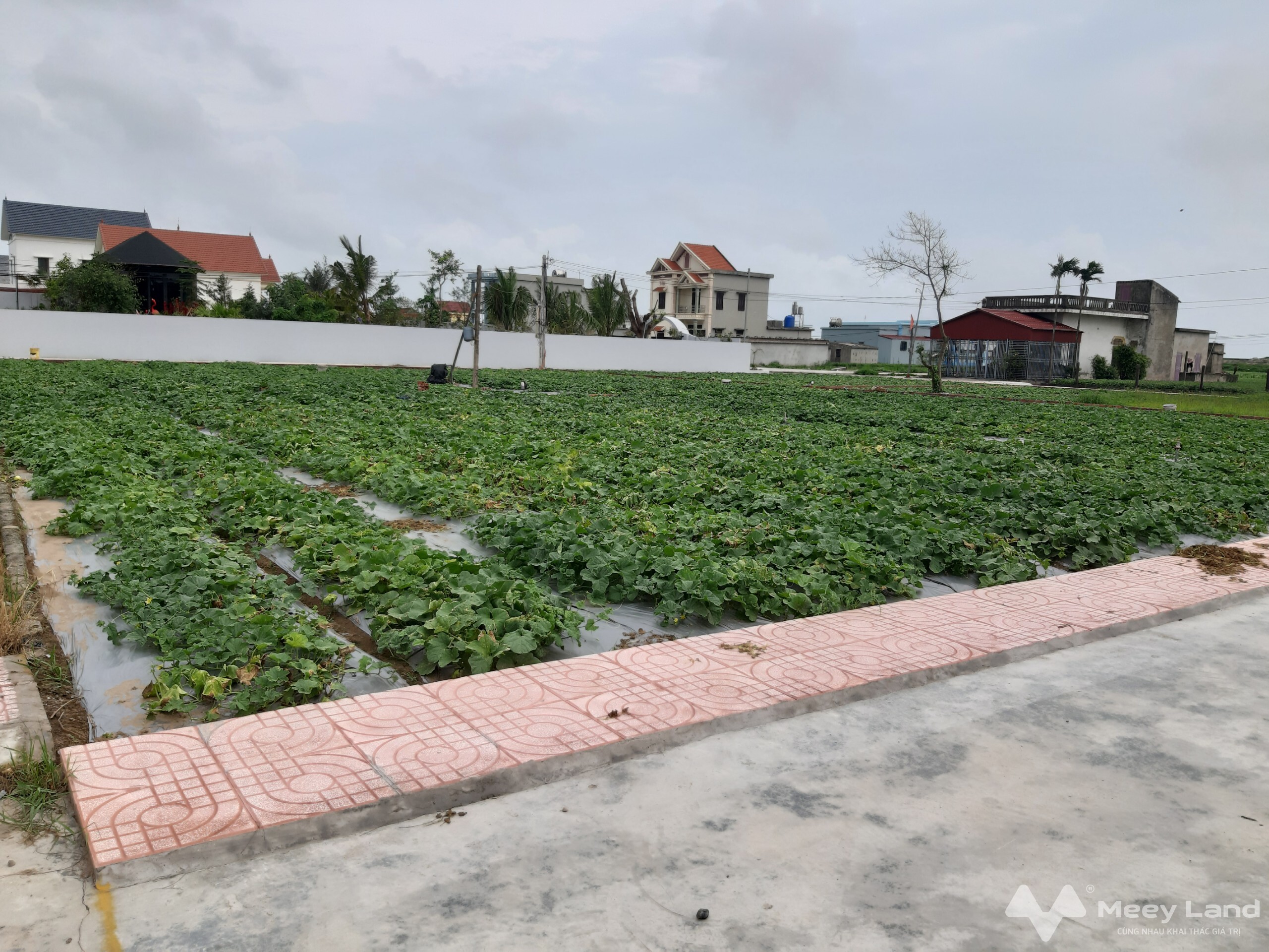 Cần bán lô đất 84m2 ven biển tại Giao Phong, Giao Thủy