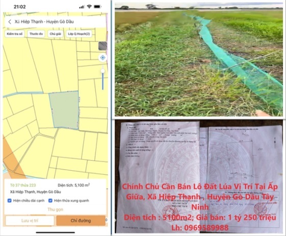 Chính chủ cần bán lô đất Lúa tại xã Hiệp Thạnh, huyện Gò Dầu, Tây Ninh, 1,25 tỷ