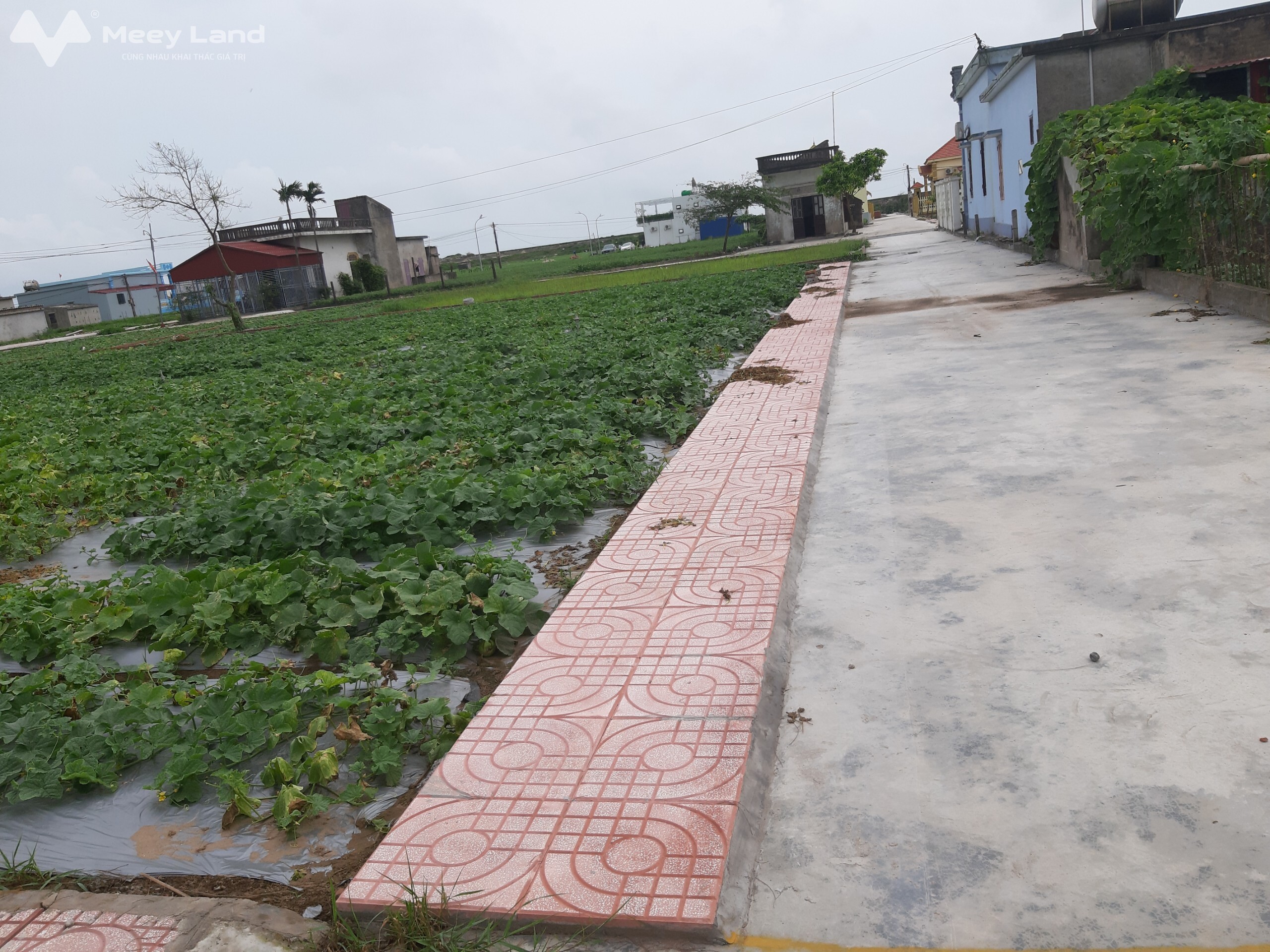 Bán đất nền ven biển diện tích 97m2 cạnh dự án FLamigo tại Giao Phong, Giao Thủy, Nam Định