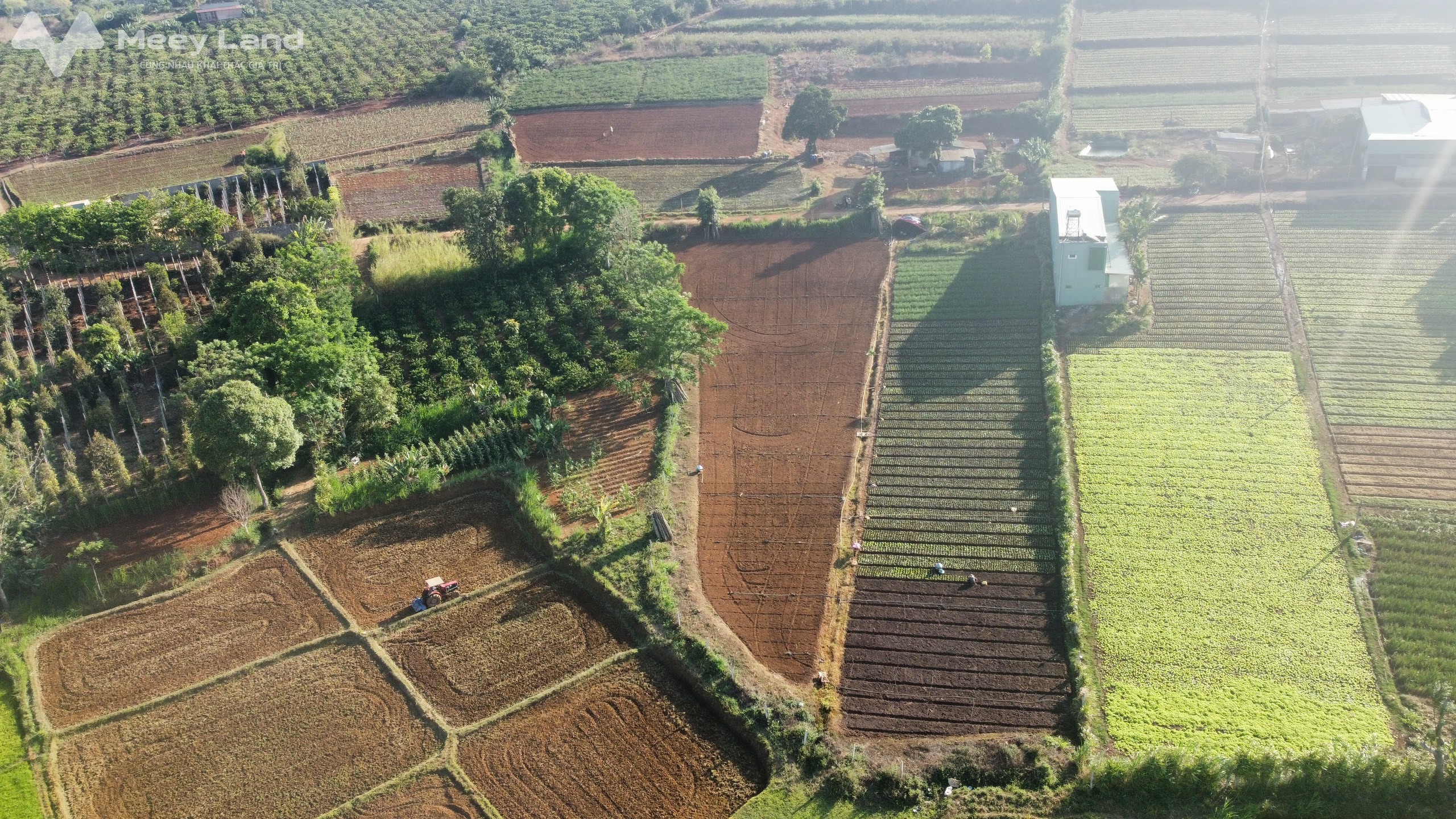 Bán gấp thửa đất chính chủ 58x95 đất nông nghiệp tặng kèm thửa ruộng 700m2 cuối đất-01
