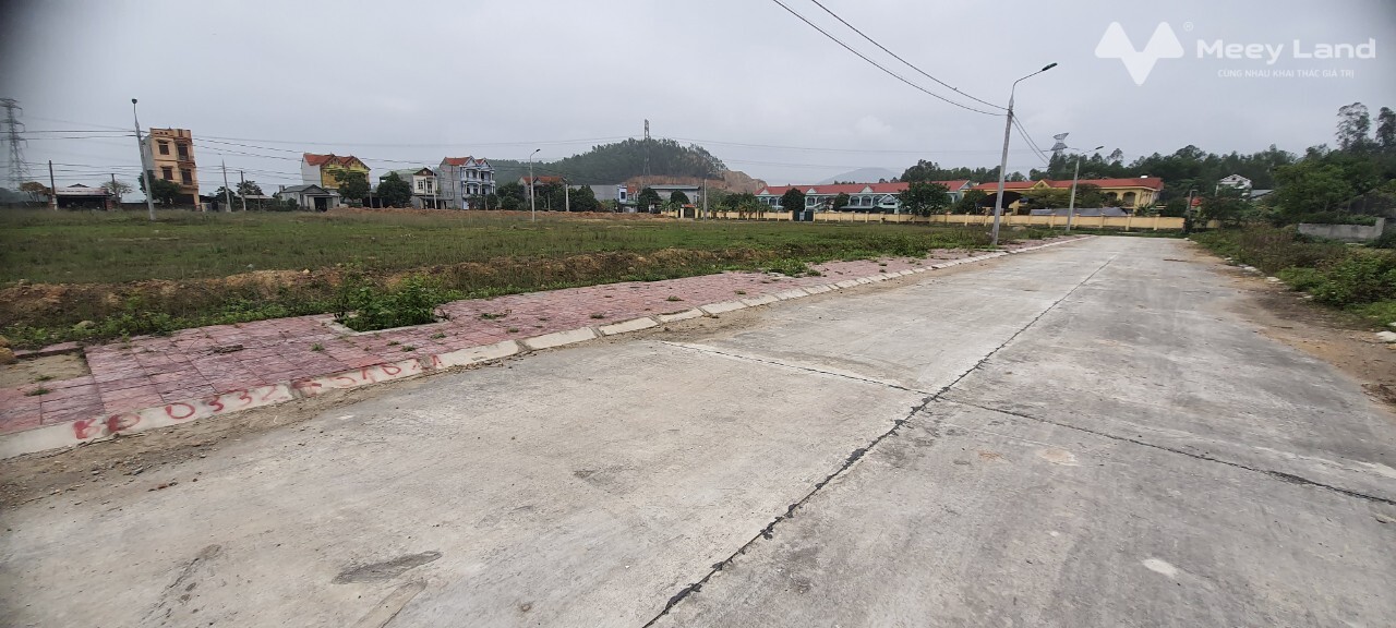 Bán đất đấu giá gần chợ Cam Lâm, Minh Quang, Tam Đảo, 200m2-03