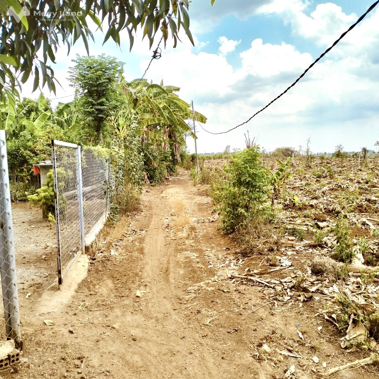 Bán nhanh 7,1 sào đất trồng cây lâu năm tại xã Sông Trầu, huyện Trảng Bom, tỉnh Đồng Nai-02