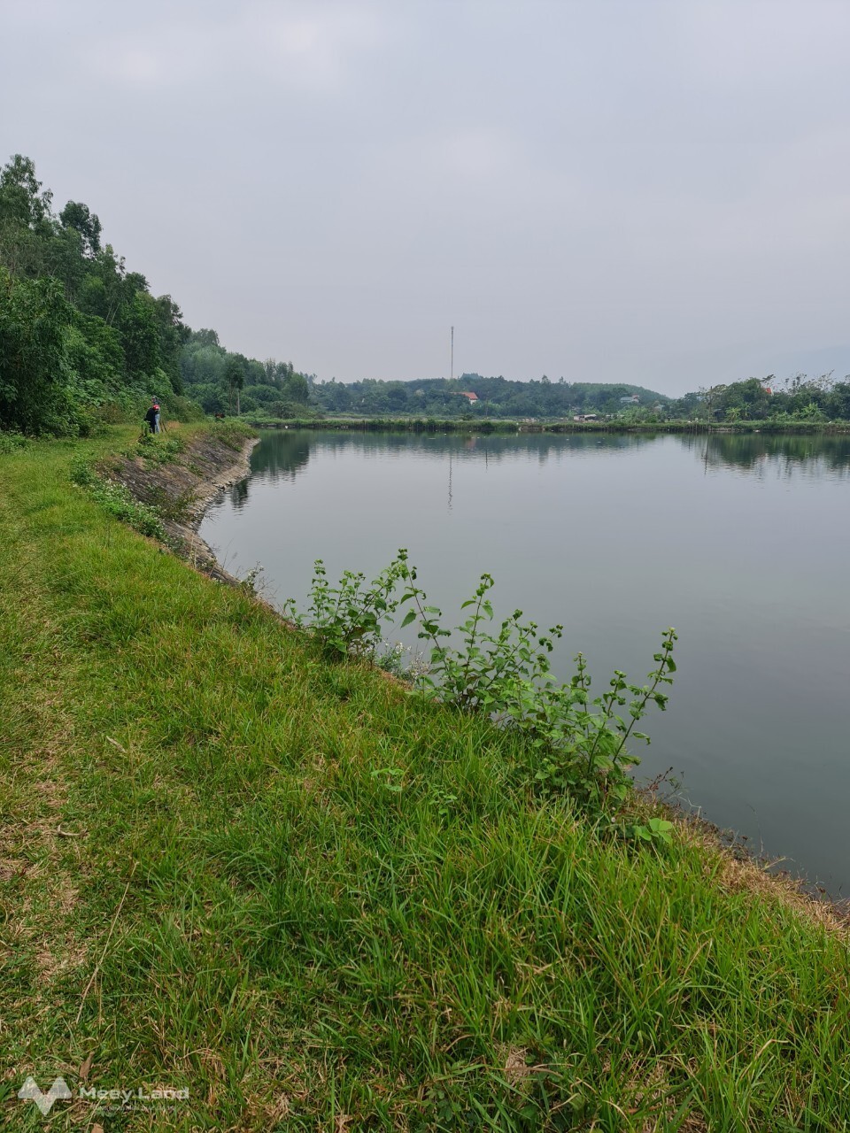 Bán đất đẹp view hồ tại Hồ Sơn - Tam Đảo - Vĩnh Phúc-01