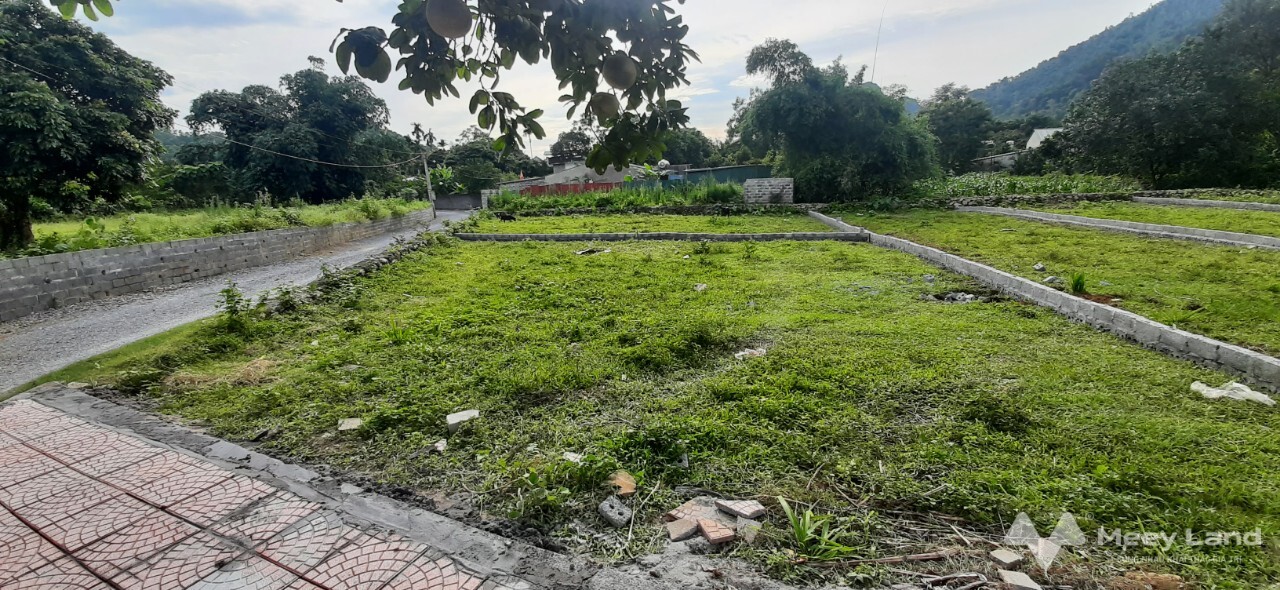 Mở bán 6 lô đất phân lô ở xã Tân Vinh, Lương Sơn, Hoà Bình, diện tích từ 183m2 - 220m2-01