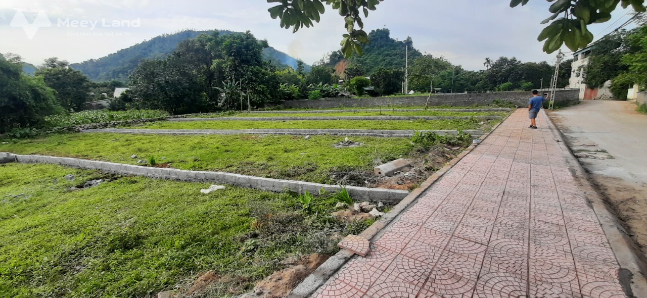 Mở bán 6 lô đất phân lô ở xã Tân Vinh, Lương Sơn, Hoà Bình, diện tích từ 183m2 - 220m2-02