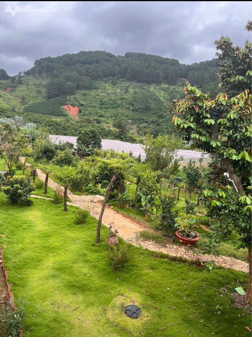 Bán đất tại xã Tà Nung Đà Lạt diện tích 2000m2 giá 12 tỷ-02