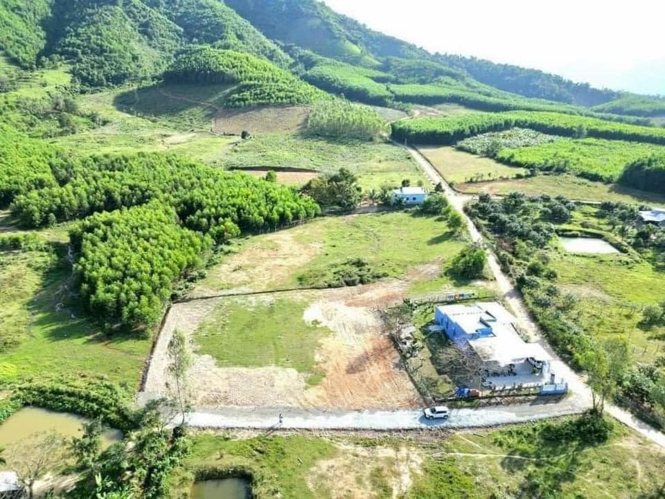 Chủ kẹt tiền bán gấp lô đất full thổ cư giá rẻ tại Khánh Phú, Khánh Vĩnh - chỉ 420 triệu, còn một lô duy nhất-01