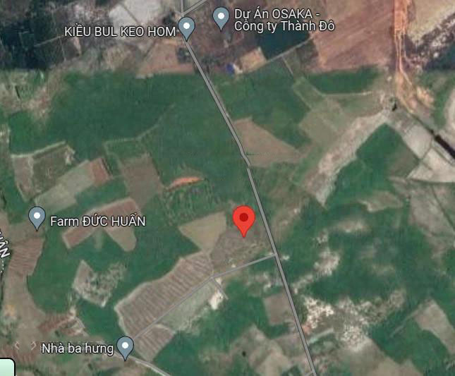 Chính chủ bán 3000m2 đất sổ sẵn giá tốt duy nhất tại Thắng Hải, Hàm Thuận-03