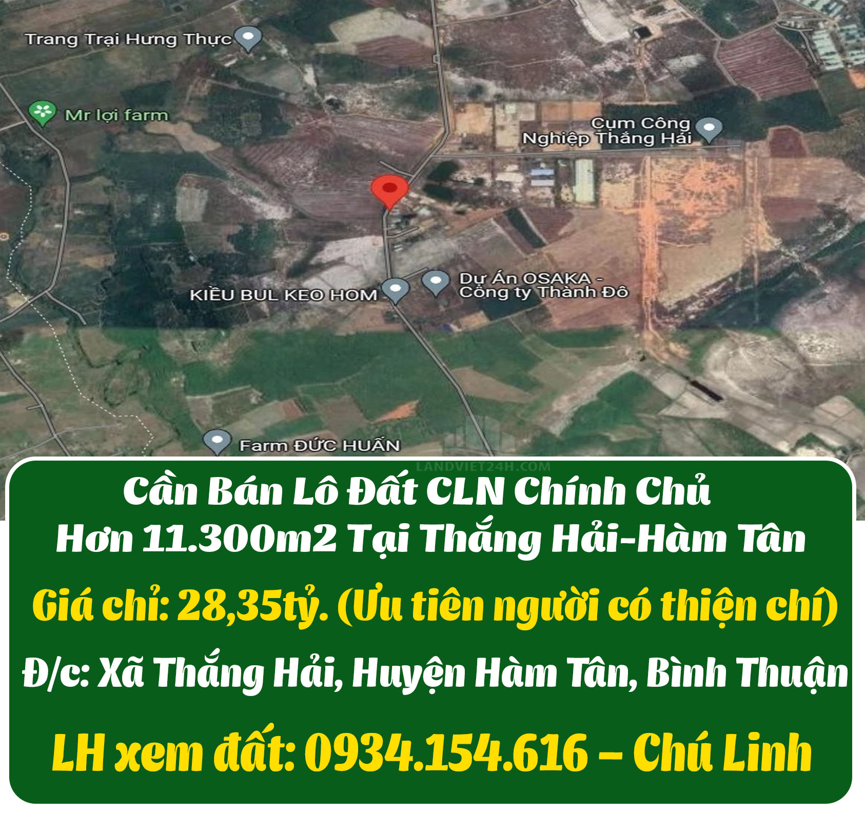 Cần bán lô đất cây lâu năm chính chủ hơn 11.300m2 tại Thắng Hải, Hàm Tân-01