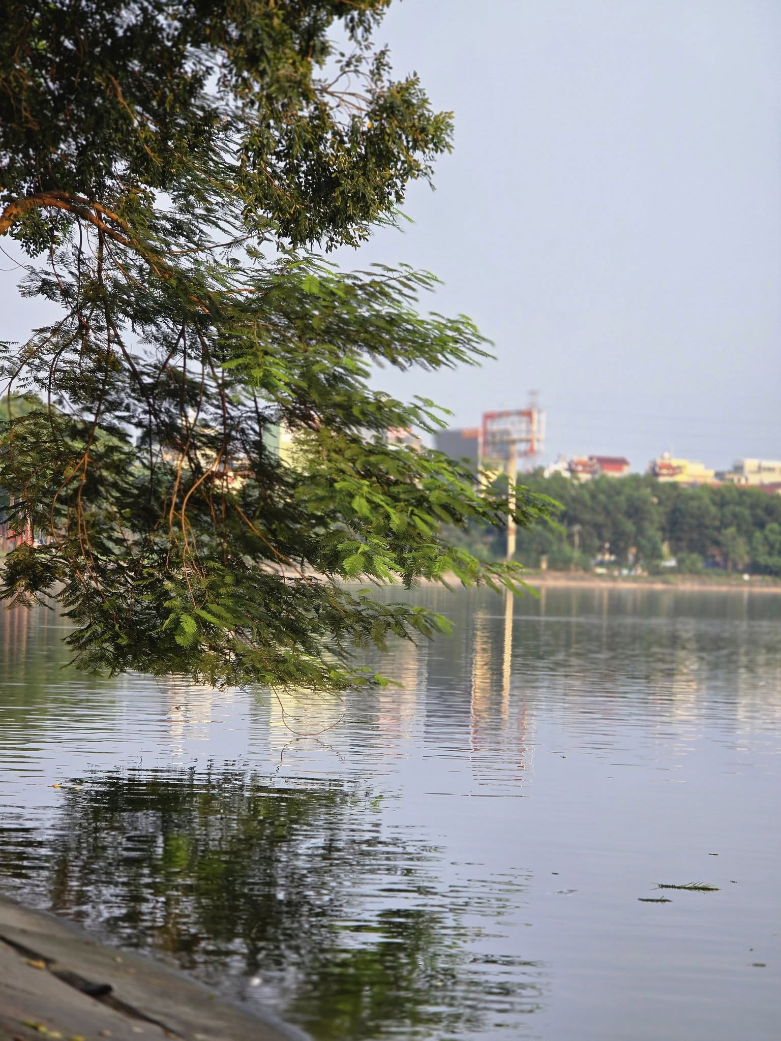 Bán nhà riêng, 6 PN, 250 m², Hoàng Mai
