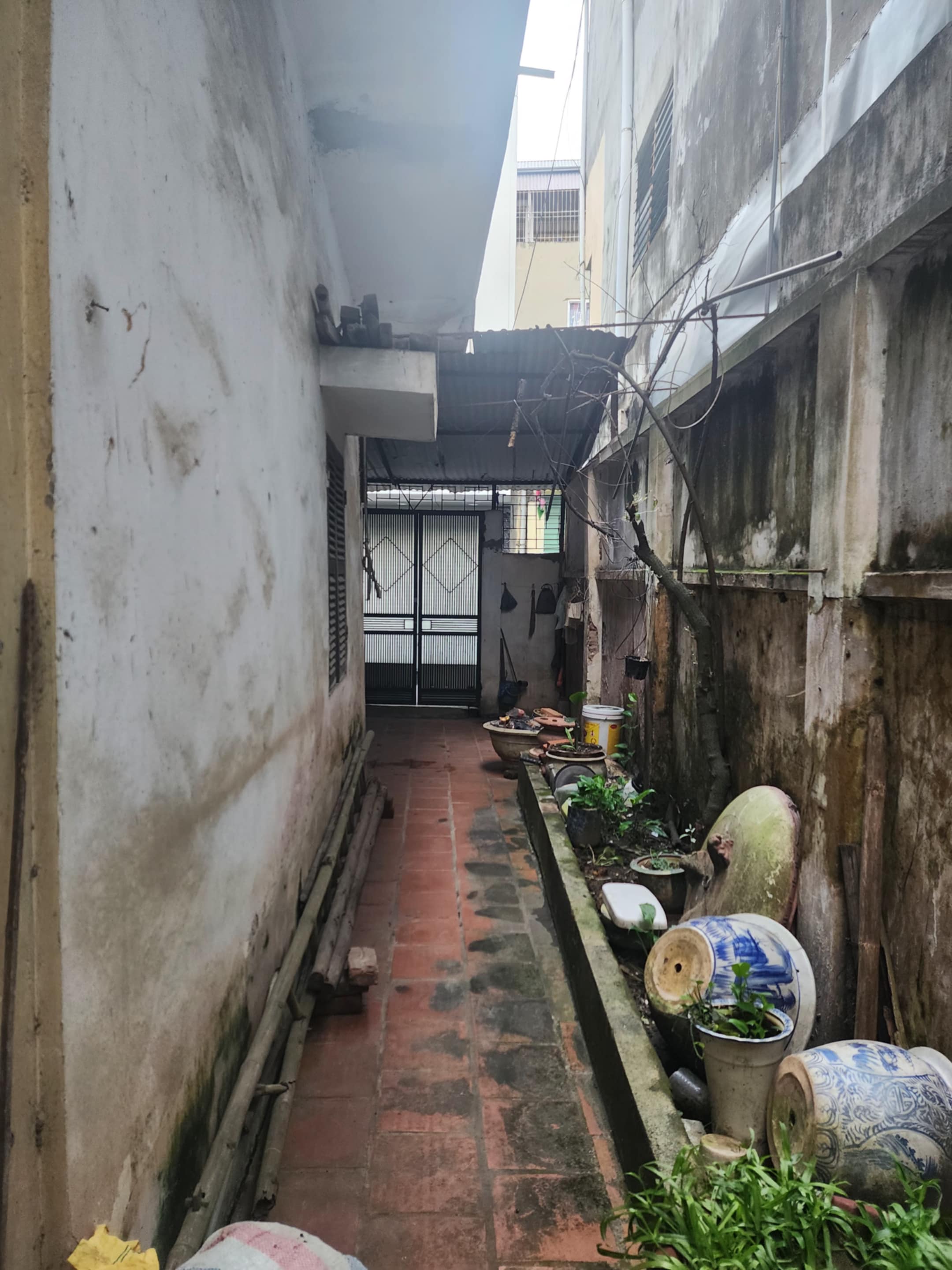 Đất Hà Đông, hàng F0, 99m2, gần bệnh viện Hà Đông, mặt tiền khủng, xây chung cư mini cực đỉnh, 15,5 tỷ