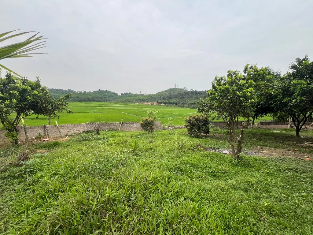 Bán đất Lương Sơn, Hòa Bình, cách Ba La - Hà Nội 20km